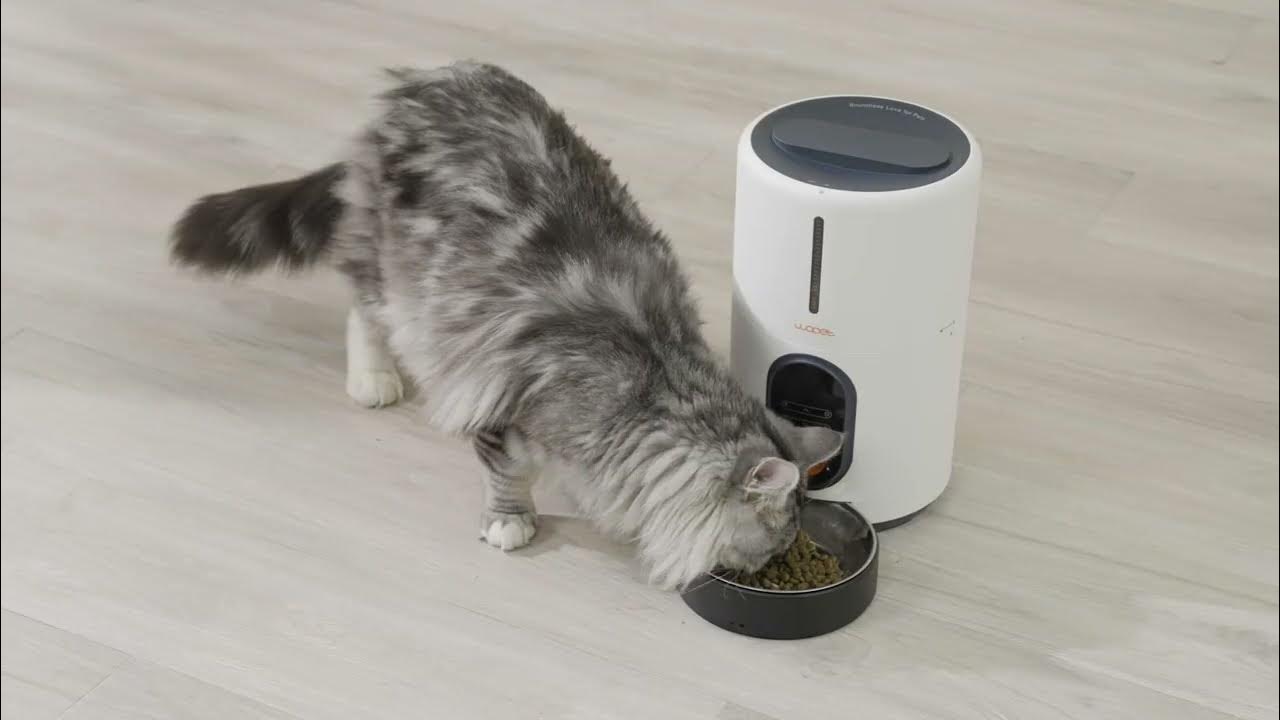 WOPET Barn Pet Automatic Feeder (Model FT50) Released! YouTube