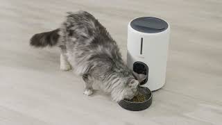 WOPET Barn Pet Automatic Feeder (Model: FT50) Released!