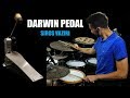 ACD Unlimited Darwin Pedal - [Review]