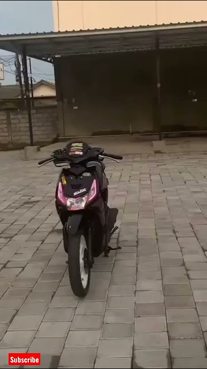 STORY'WA BEAR KARBU HITAM,😎🔥 KEREN2022