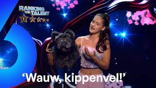 Ana-Maria Mărgean // Buikspreekact x You Don't Own Me | Ranking the Talent