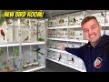 My amazing new bird breeding room