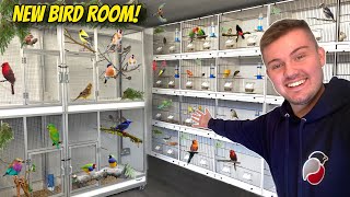 My AMAZING *NEW* Bird Breeding Room!