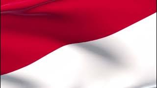 Waving Indonesia close Flag,  3D Animated Indonesia flag Relax Video, Indonesia independents day