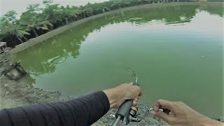 Ultralight Fishing Braided Line 0.2 VS Big Barramundi