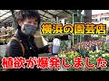 【植欲の秋】一つ買ったら止まらなくなりました【グリーンファーム金沢本店】【カーメン君】【園芸】【ガーデニング】【初心者】