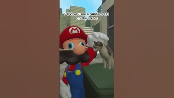 POV. You see a random cat on the street.    #mario  #cats #catvideos #supermariobros