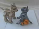 Aibo vs I-Cybie