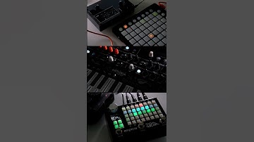 #shieldXL #norns #midigrid #launchpad #microfreak #arturiamicrofreak #zoia #ambient #empresszoia