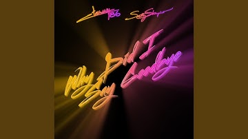 Why Did I Say Goodbye (Betamaxx Remix)