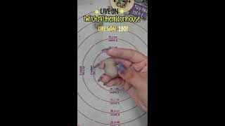 chubby birb live sculpt