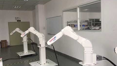 Topstar 6 axis Robot