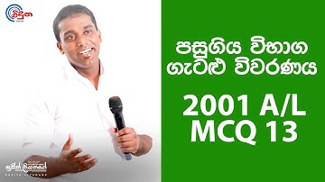 G.C.E. A/L Physics 2001 (Question 13) | භෞතික විද්‍යාව පසුගිය විභාග ගැටළු විවරණය