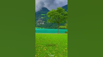 ما تيسر من سورة آل عمران القارئ عمير الشميم اکتب_شی_تؤجر_عليه_يوم_القيامة_😶‍🌫️