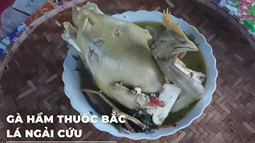 Gà hầm lá ngải cứu | Ẩm thực ia Pa Kim Tươi