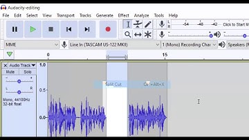 BCIT Library, MediaWorks software video series. The Audacity selection tool.