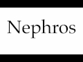 How To Pronounce Nephros How To Pronounce Nephros