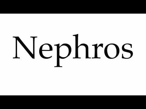 How To Pronounce Nephros