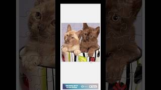 puzzle challenge game #asmrsounds #pulzze #asmrvideo #asmrvideo