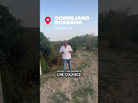 Video Contrada Iti azienda agricola agrumeto uliveto - Gabetti Rossano