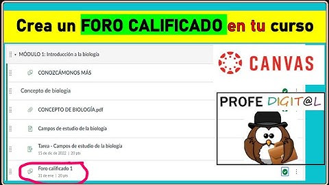 FORO CALIFICADO EN CANVAS