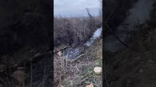 Gaziantepte Atık Sular Çevreyi Mahvediyor