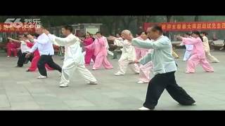 Yang Shi Taijiquan 85 Shi (2) - Master Zhao Youbin (赵幼斌)