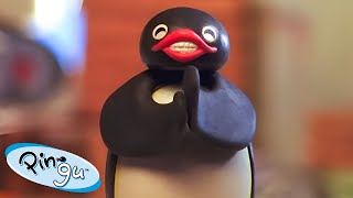 Pingu At Play 🐧 | Pingu - Official Channel | Cartoons For Kids