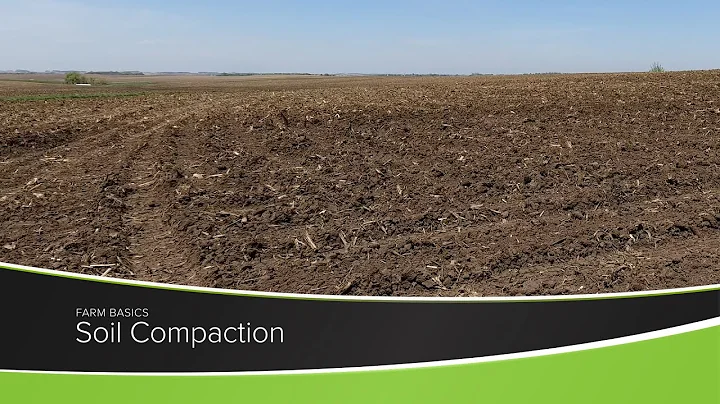 Soil Compaction