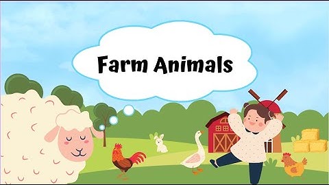 Học từ vựng tiếng anh về các loài động vật trong nông trại - Farm Animals