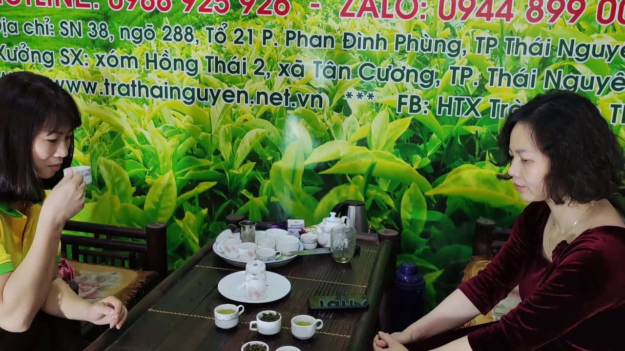Tại sao chè Thái Nguyên lại nổi tiếng?