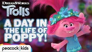 A Day In The Life Of Queen Poppy Trolls