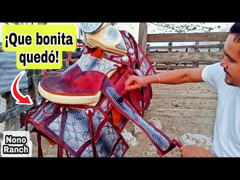 Video: Cómo hacer jabón de silla de montar hecho en casa