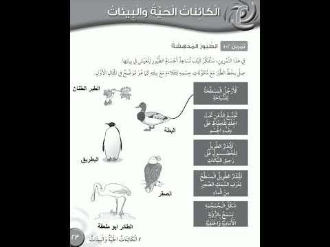 كتاب النشاط صفحة ٢٣ علوم الصف الرابع الطيور المدهشة