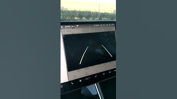 Rear Camera Blackout