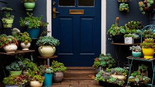 видео: 10 волшебных суккулентов для крыльца 🌵 | Потрясающие идеи для маленькой веранды и патио, которые ... картинка: 10 волшебных суккулентов для крыльца 🌵 | Потрясающие идеи для маленькой веранды и патио, которые ...