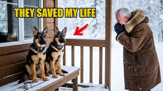 Veteran adopts two dogs that were freezing to death. The next morning, the police surrounded his...