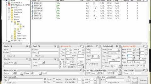 HowTo - Sort files using Bulk Rename Utility
