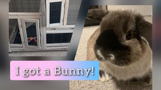 I got a Bunny!! Building his Rabbit Hutch ❤