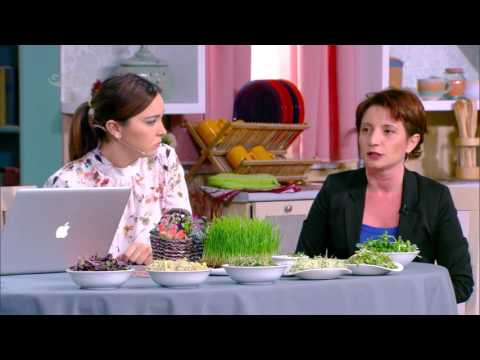 მიკრომწვანილი რომელიც ვიტამინებისა და მინერალების მთელ დღიურ მარაგს შეგივსებთ