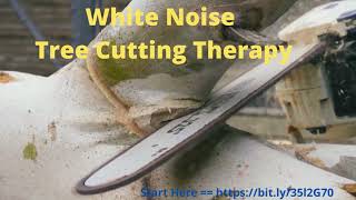 Stress Relief White Noise Tree Cutting Therapy. Unusual Therapy That Works Fast.