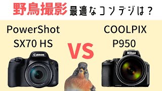 野鳥撮影に最適なコンデジはどっち？PowerShot SX70 HSとCOOLPIX P950を比較解説！