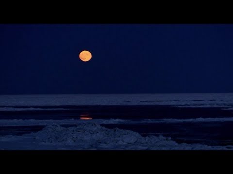 Beethoven lunnaya sonata noti dlya skripka