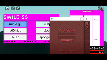 - -sm1le SS executor V3