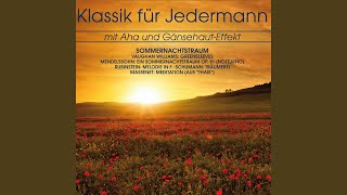 Torna a Surriento (Arr. for String Orchestra)
Provided to YouTube by BMG Rights Management (UK) Limited
Torna a Surriento (Arr. for String Orchestra) · Béla Bánfalvi · Budapest Strings · Giambattista De Curtis · Ernesto De Curtis
Klassik für Jedermann: Sommernachtstraum
℗ 2013 BMG Rights Management GmbH
Released on: 2013-12-09
Violin: Béla Bánfalvi
Strings: Budapest Strings
Composer: Ernesto De Curtis
Composer: Giambattista De Curtis
Auto-generated by YouTube. Torna a Surriento (Arr. for String Orchestra)