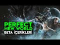 Perfect New World | Beta İçerikleri | Dungeon