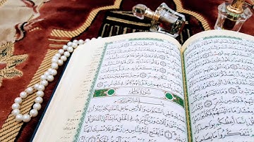 سورة فاطر بصوت الشيخ حسان بن سعيد  - تراويح تونس رمضان 2017/1438