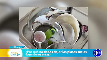 ¿Qué pasa si no lavas los platos?