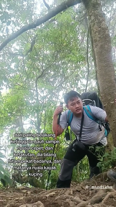 Ketemu Macan Kumbang Di Gunung Raung Banyuwangi #gunungraung #macankumbang #shorts