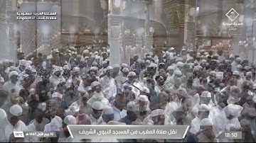 صلاة المغرب لفضيلة الشيخ أ.د. #محمد_برهجي يوم الثلاثاء 10 ربيع الأول 1447هـ من سورة سبأ.
